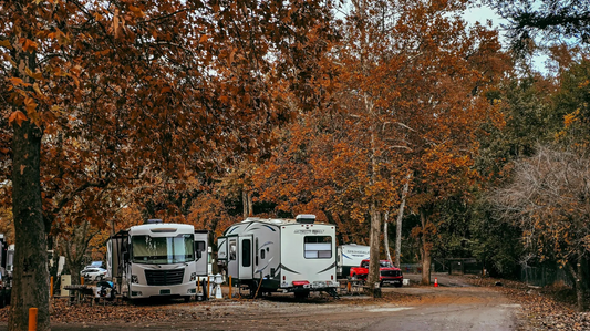5 Reasons Mouse Repellent Pouches Are the #1 Choice for RV Owners