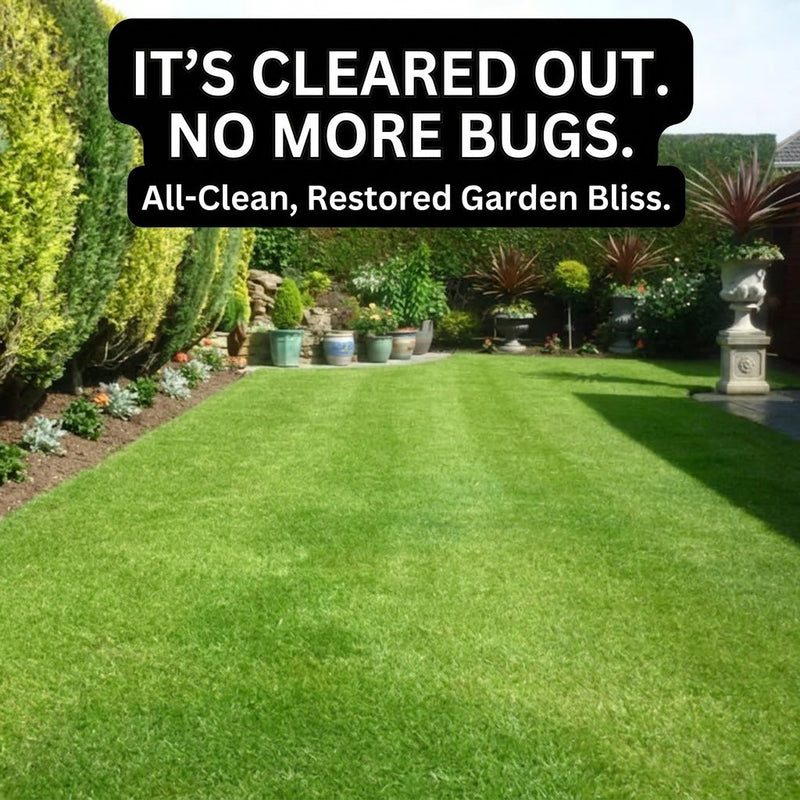 3. Saves You Hundreds on Expensive Exterminators
