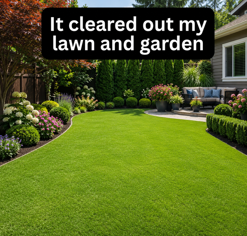 Lasts 3 Months — Continuous Indoor & Garage Protection