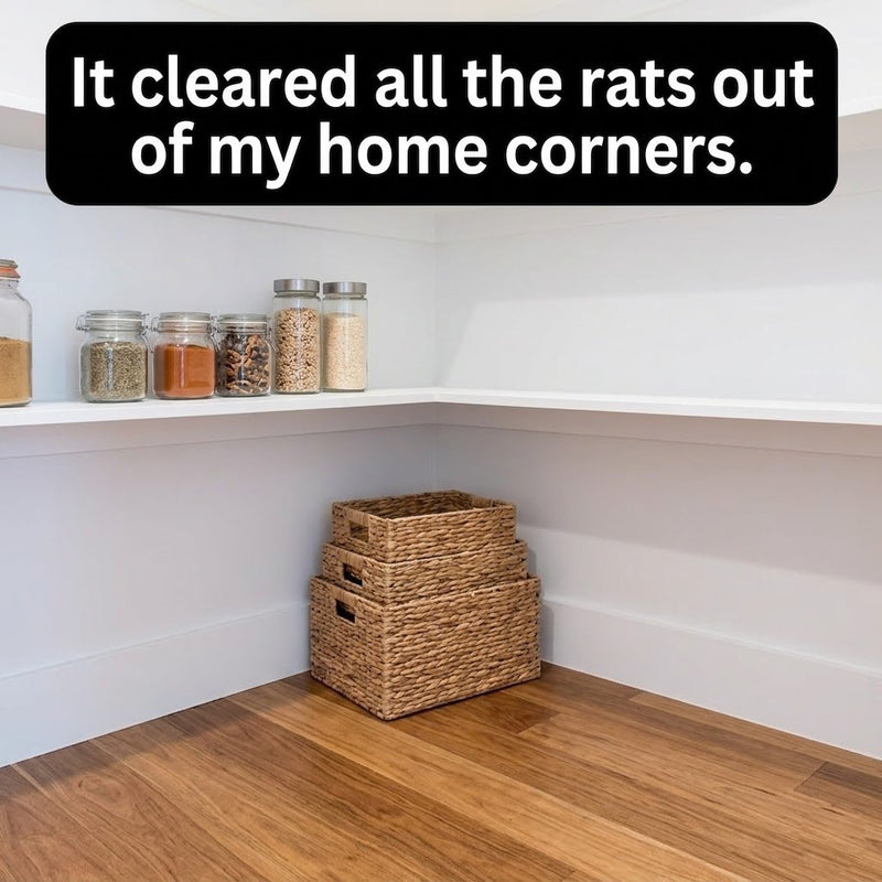 Lasts 3 Months — Protects Every Corner of Your Home
