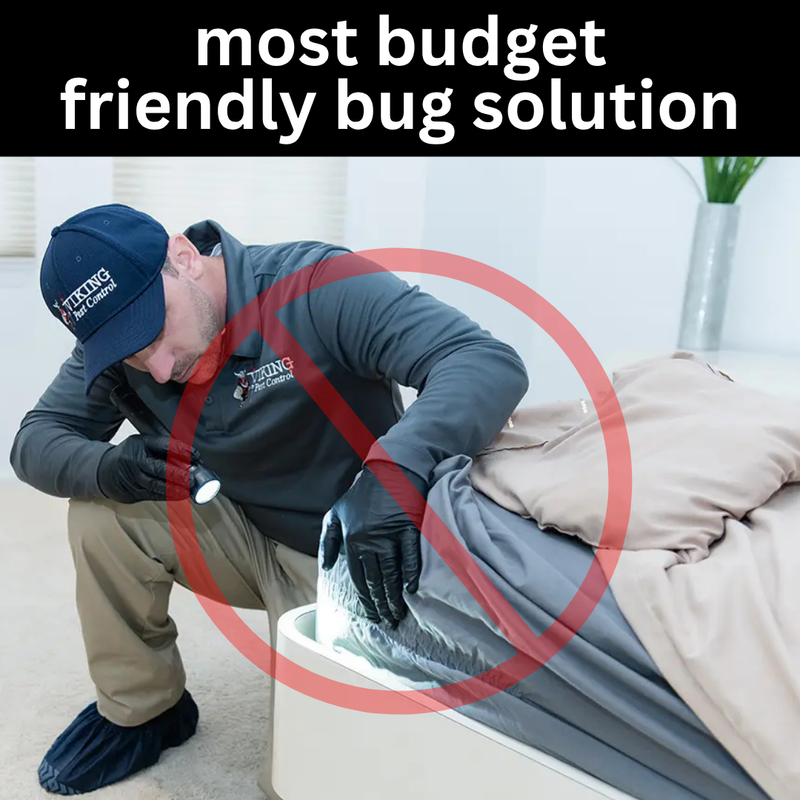 3. Saves You Hundreds on Expensive Exterminators