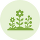Vegetable patches, flower beds, and raised gardens