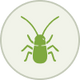 List Icon