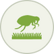 List Icon