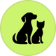 Your dog and cat's coat, head to tail