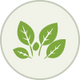 List Icon