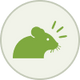 List Icon