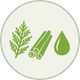 List Icon