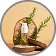Cedarwood Oil