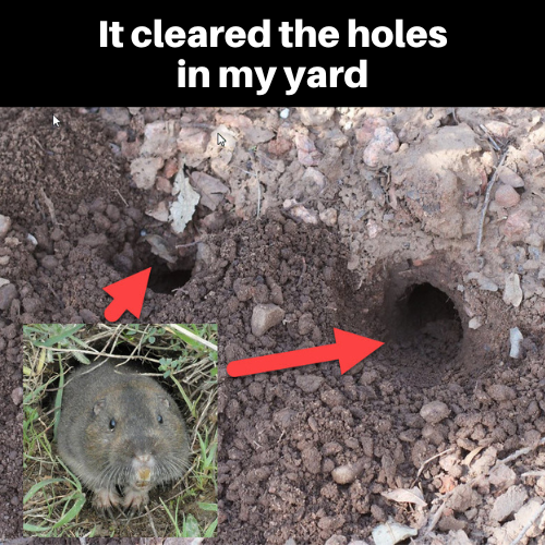 Lasts 3 Months — Even Through Rain & Heavy Irrigation