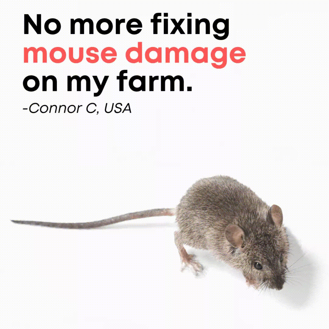 5 Reasons Farmers Rely on Mouse Repellent Pouches In 2025