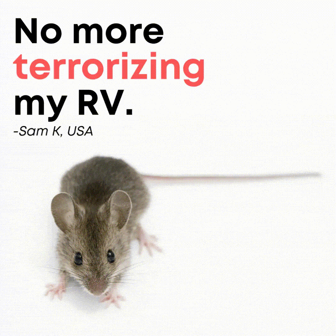 5 Reasons Mouse Repellent Pouches Are the #1 Choice for RV Owners
