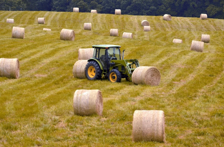 5 Reasons Farmers Rely on Mouse Repellent Pouches In 2026