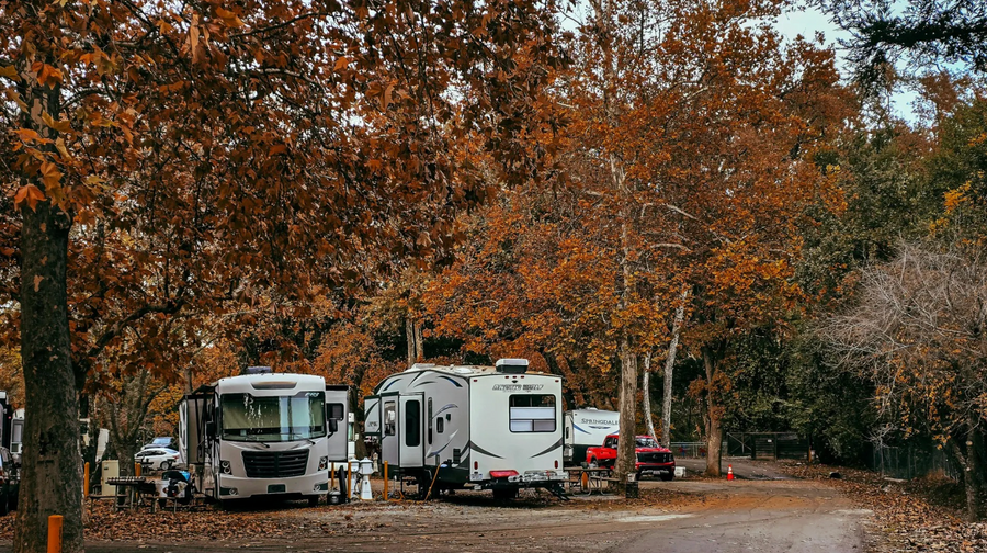 5 Reasons Mouse Repellent Pouches Are the #1 Choice for RV Owners
