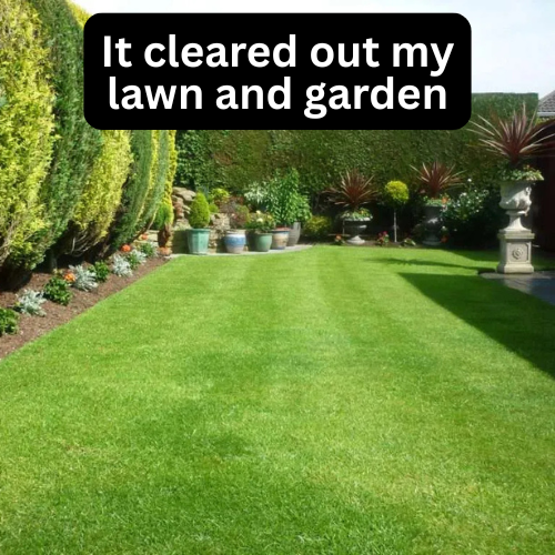 3. Lasts 3 Months — Even Through Rain and Changing Seasons