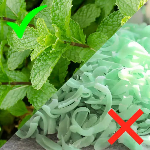 5 Reasons Irish Spring Soap Doesn't Work, But This Does..